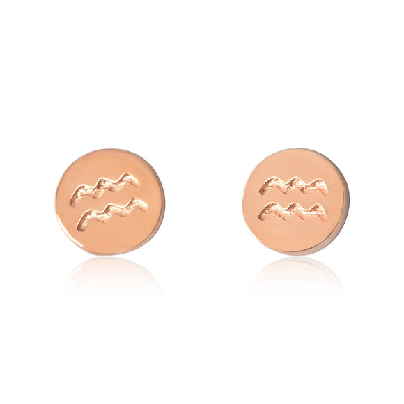 E-7008 Zodiac Disc Stud Earrings - Rose Gold Plated - Aquarius | Teeda